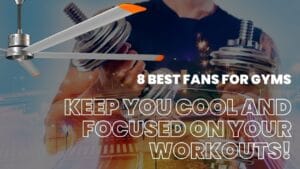 Rtfans 8 Best Fans For Gyms 001